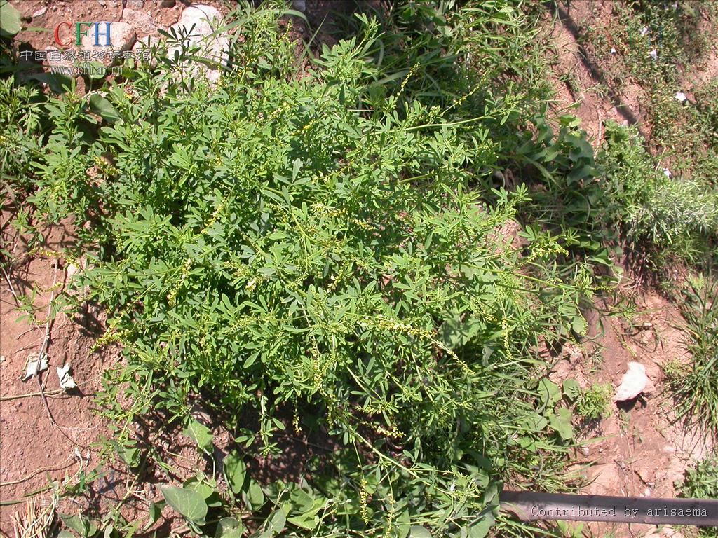 http://m.omega3-ala.com/pics/default/download/34edf1b900a7fa72430e6d2475d284ef.jpg