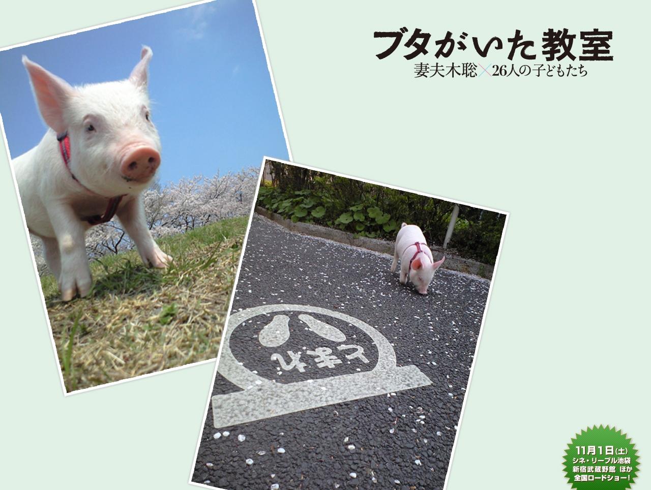 http://m.omega3-ala.com/pics/default/download/3857fd55e2ee1eaa5ec24b012028a316.jpg