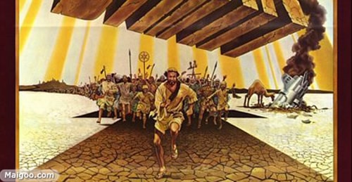 http://m.omega3-ala.com/pics/default/download/38658dad3d80abb810297b849cf803cf.jpg