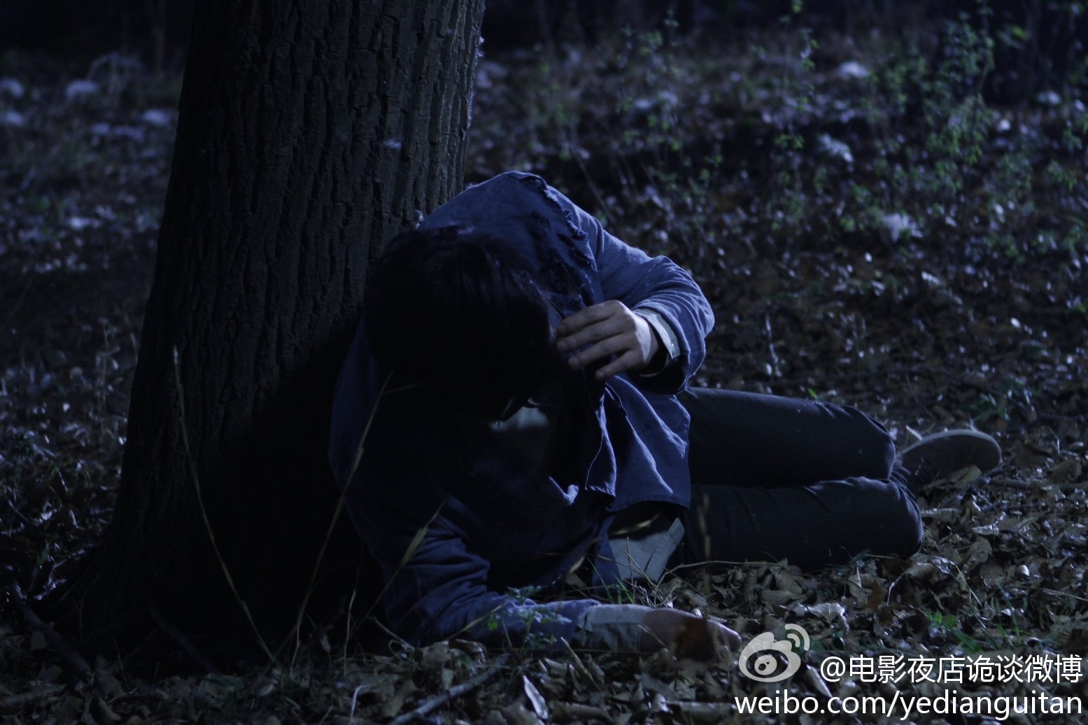 http://m.omega3-ala.com/pics/default/download/386f93dc5d34e92ee3f751a761201b64.jpg