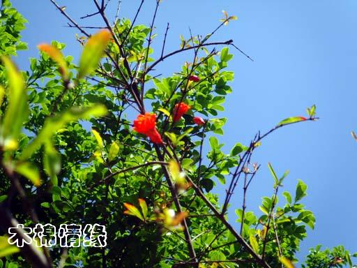 http://m.omega3-ala.com/pics/default/download/3b936208b3557949345eb2adafe82c28.jpg