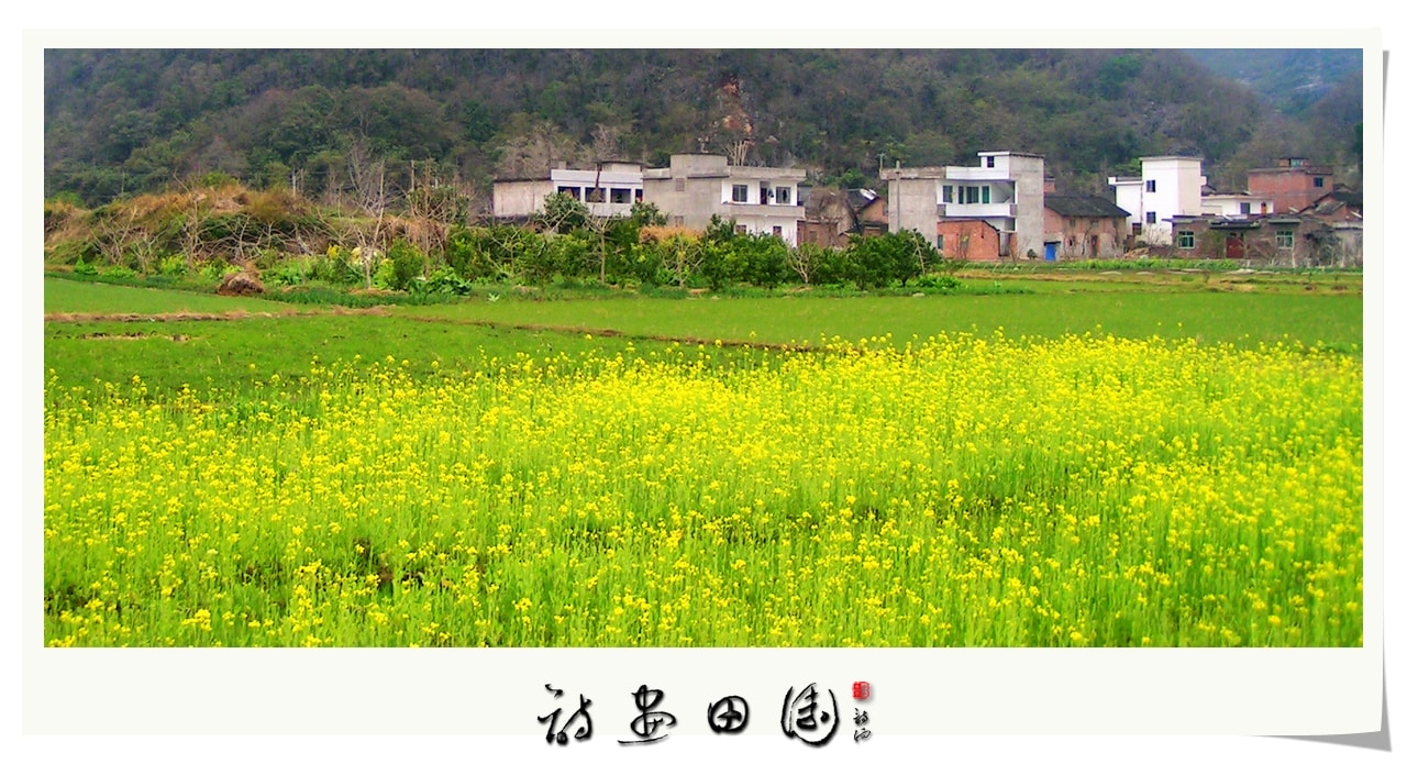 http://m.omega3-ala.com/pics/default/download/3c1538947ebf260e64b8eee9e36a216f.jpg