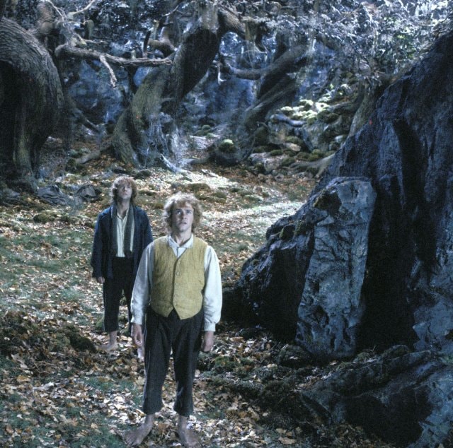 http://m.omega3-ala.com/pics/default/download/3cd9745623dffd979c6bbc7509205e0d.jpg