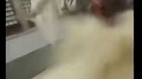 香帥傳奇 - 打戲033仁者無敵戰(zhàn)扶桑