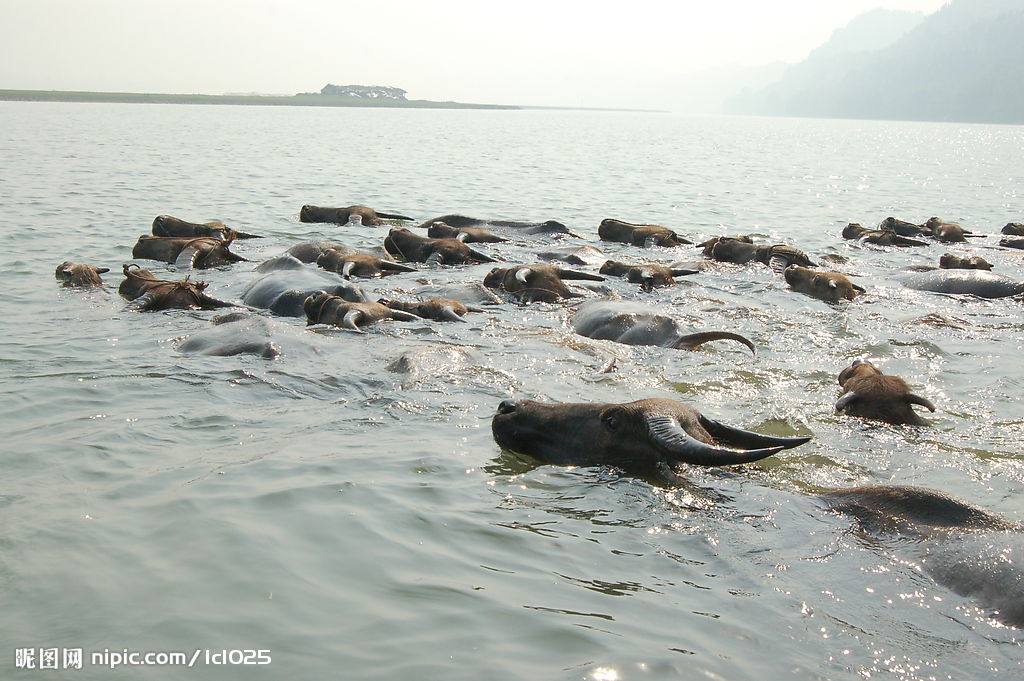 http://m.omega3-ala.com/pics/default/download/402be8a55cd377dc91e3f1bfb345596d.jpg