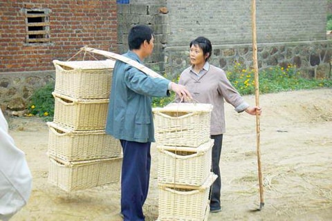 http://m.omega3-ala.com/pics/default/download/41f4806f47e5ff7e0c58028519c9656c.jpg
