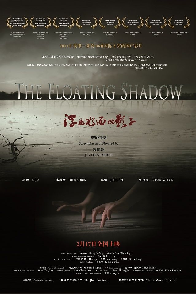 浮出水面的影子 海報(bào)