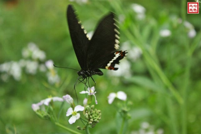http://m.omega3-ala.com/pics/default/download/4547f599334cae224130dfbd89bfb172.jpg