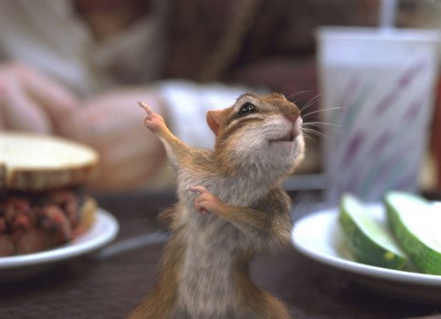 http://m.omega3-ala.com/pics/default/download/471b76cddf66a4974d0c09b9ddc677b7.jpg