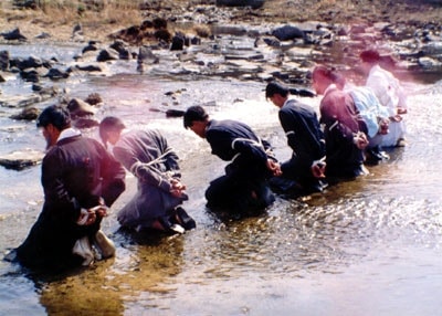 http://m.omega3-ala.com/pics/default/download/47dee0273d4f089fc1faab5ac4ed5e5a.jpg