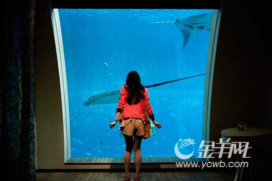 http://m.omega3-ala.com/pics/default/download/49deb6a37fee6d05e9f5201f7a294a1e.jpg