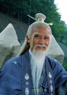 韓振華