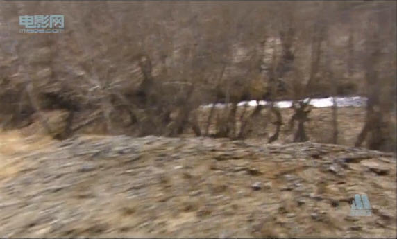 http://m.omega3-ala.com/pics/default/download/4af8b811bc26839963ebfa2a51a78d9f.jpg