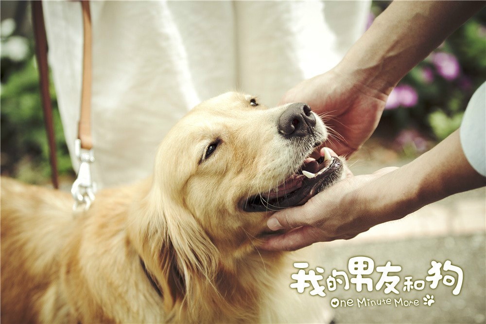 http://m.omega3-ala.com/pics/default/download/4b3477d87f962b065e7fa2341bc210ed.jpg