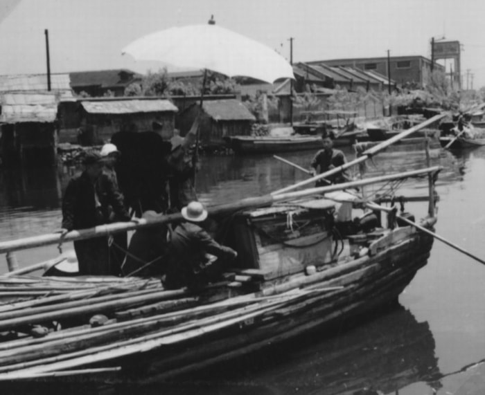 http://m.omega3-ala.com/pics/default/download/5088f35c378843f9aba3a279f616b52a.jpg