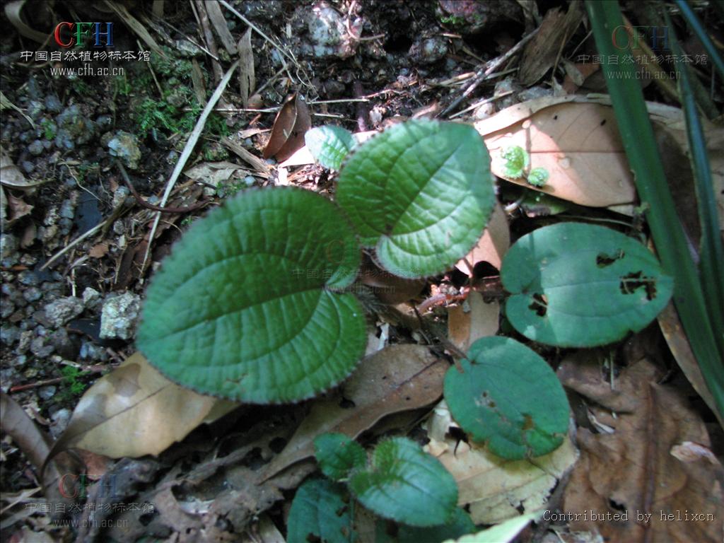 http://m.omega3-ala.com/pics/default/download/52266a248c64c416de98db30b6732c5d.jpg