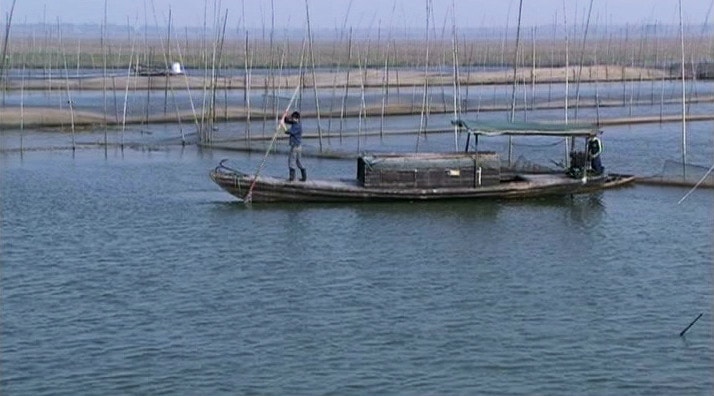 http://m.omega3-ala.com/pics/default/download/555db85cb8fa34a7aad571c8d6abccca.jpg