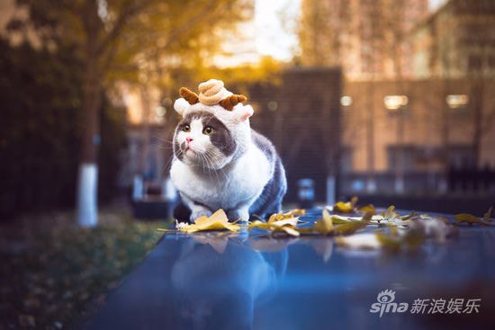 http://m.omega3-ala.com/pics/default/download/564e934071e49e8e2153c62d45491e1d.jpg