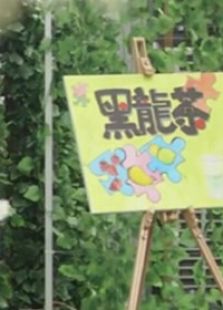 黑龍茶