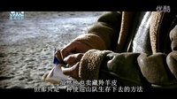 電影《可可西里》：震撼人心的鏡頭，看哭了多少觀眾