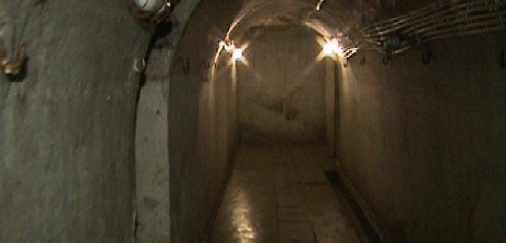 http://m.omega3-ala.com/pics/default/download/5835b3c7f366319c914647a3f8c117f1.jpg