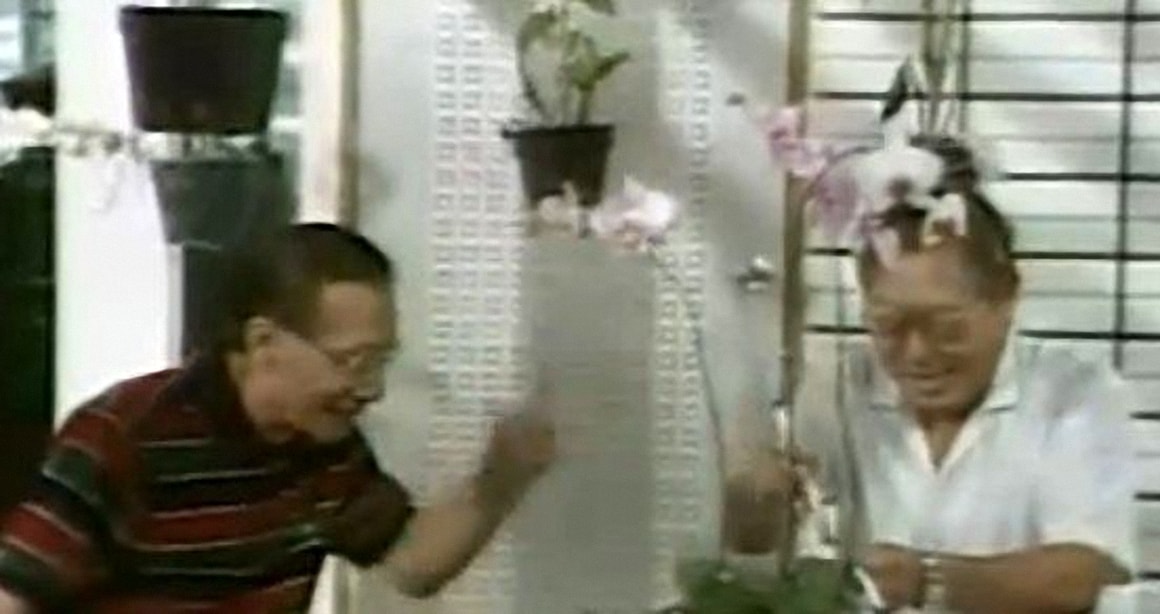 http://m.omega3-ala.com/pics/default/download/586bfe519f3601319e25b0d6b31c7840.jpg