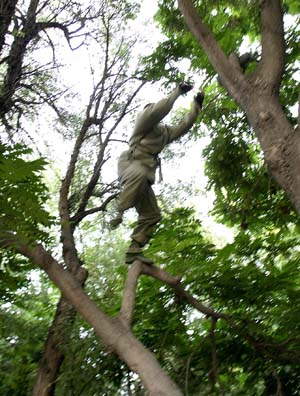 http://m.omega3-ala.com/pics/default/download/586f/65f1a183691680a96908a9f2a347.jpg