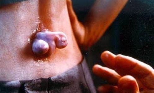 http://m.omega3-ala.com/pics/default/download/58dfde9c6201b309696c8b71d39f550e.jpg