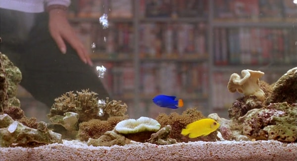 http://m.omega3-ala.com/pics/default/download/59082e08e8da978068af05b2d380e47a.jpg
