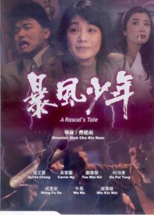 暴風少年