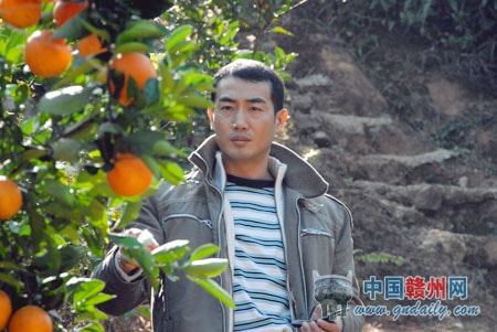 http://m.omega3-ala.com/pics/default/download/596befbe3d4ce7d704bee9ed66339b0d.jpg