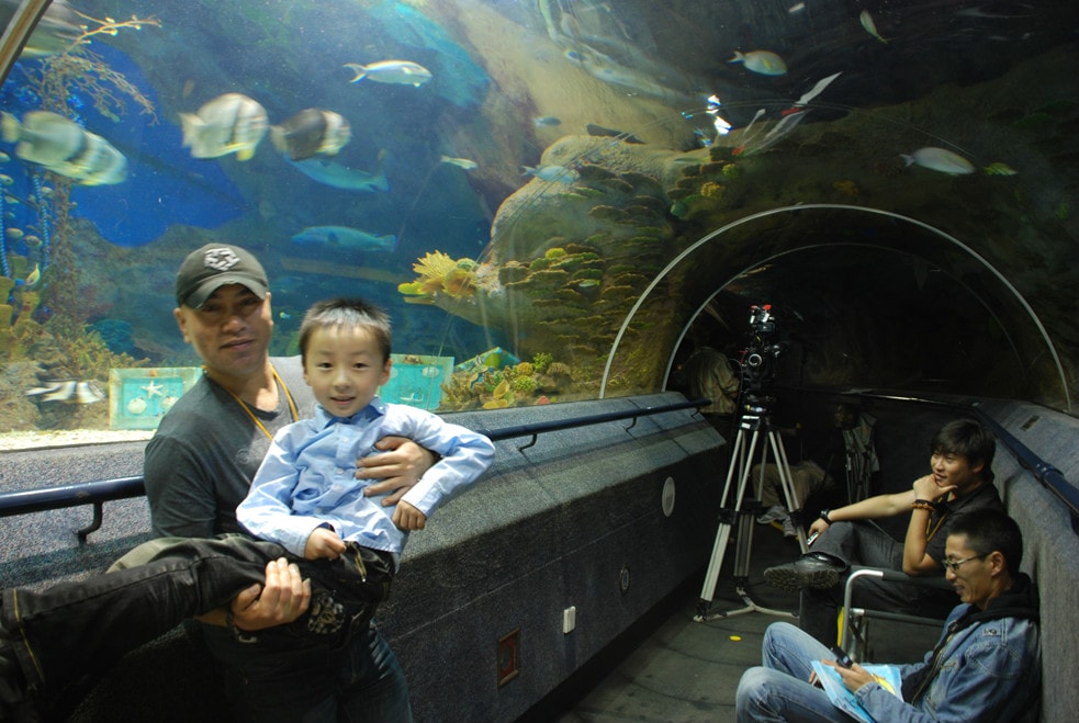 http://m.omega3-ala.com/pics/default/download/59da637506e599c77342e8132f454d0f.jpg