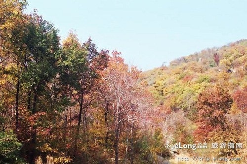 http://m.omega3-ala.com/pics/default/download/5ab631e4f3e5d5798a77abcdffd31a8d.jpg