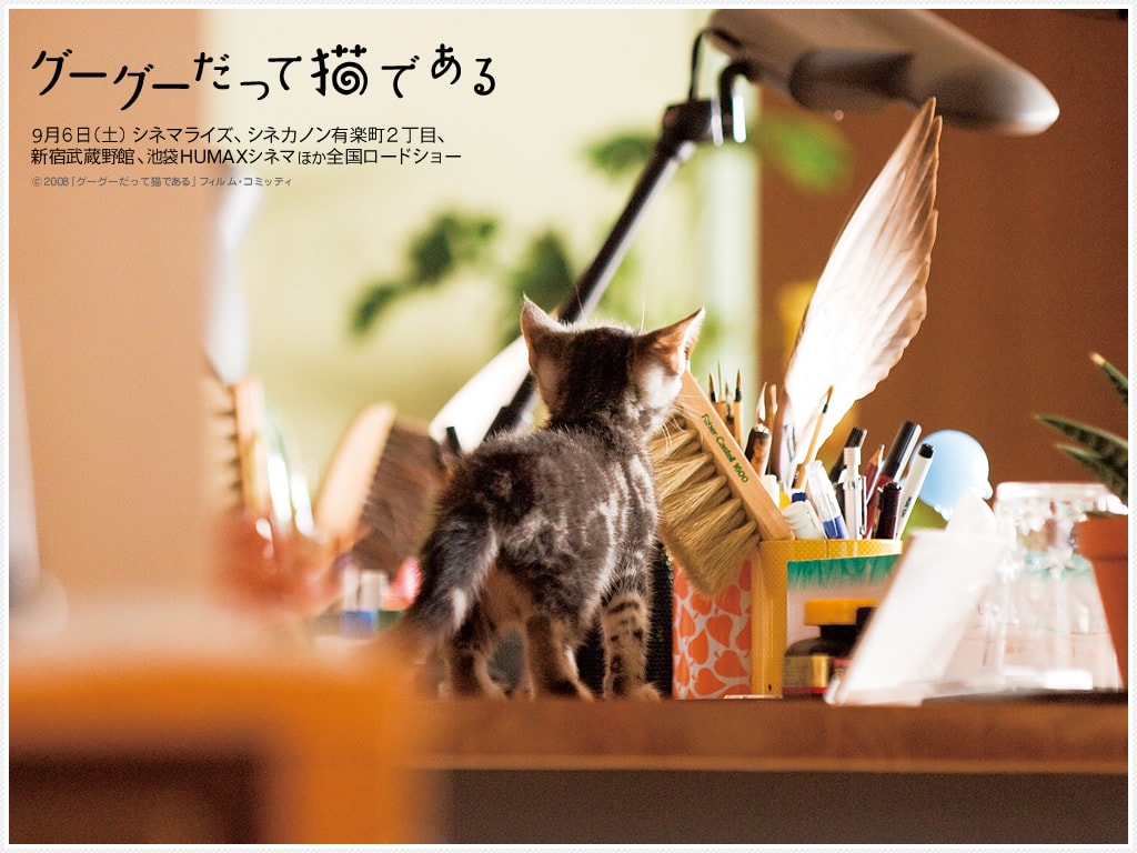http://m.omega3-ala.com/pics/default/download/5c6063706e9ae440ffd307422b076111.jpg