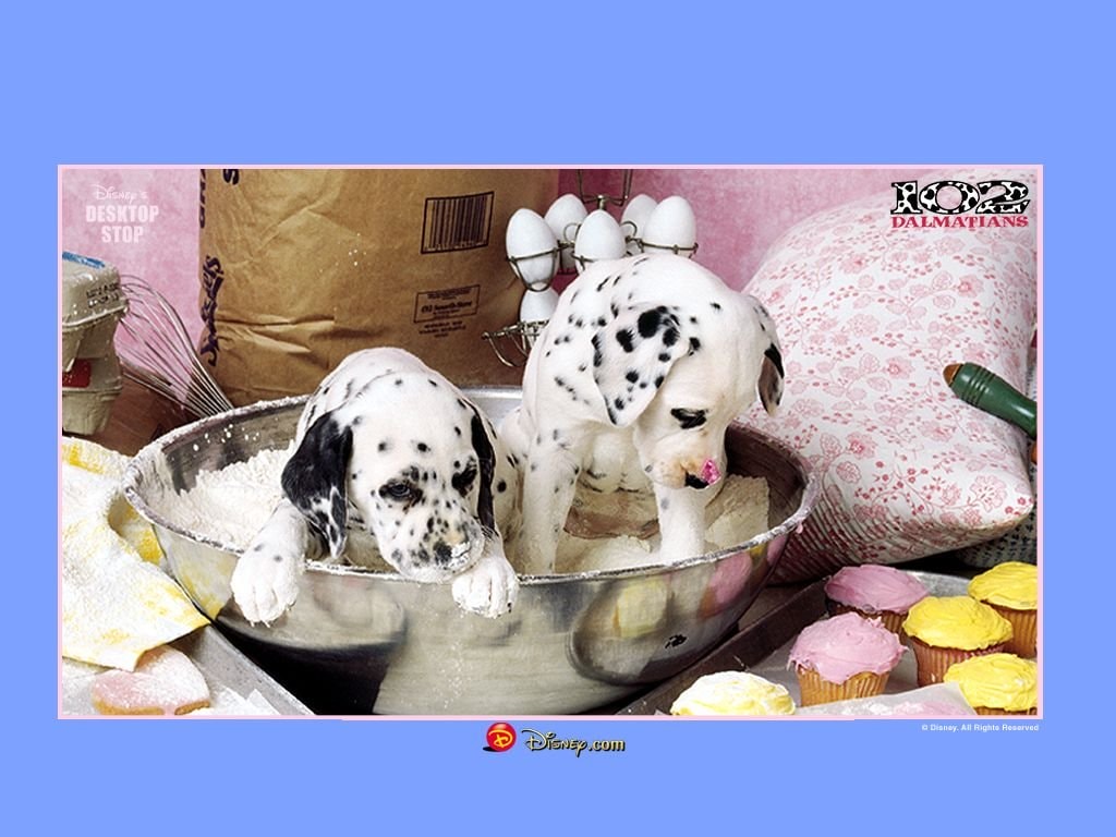 http://m.omega3-ala.com/pics/default/download/5d30bfa4a5536ae826bcf7aafcbb392f.jpg
