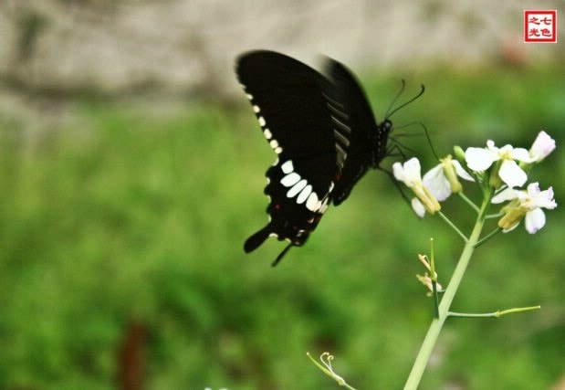 http://m.omega3-ala.com/pics/default/download/5deb8cf3b890c09b6b17eaa5a264412f.jpg