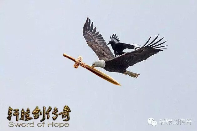 http://m.omega3-ala.com/pics/default/download/5e664c1fd297097365f4c745daedec30.jpg