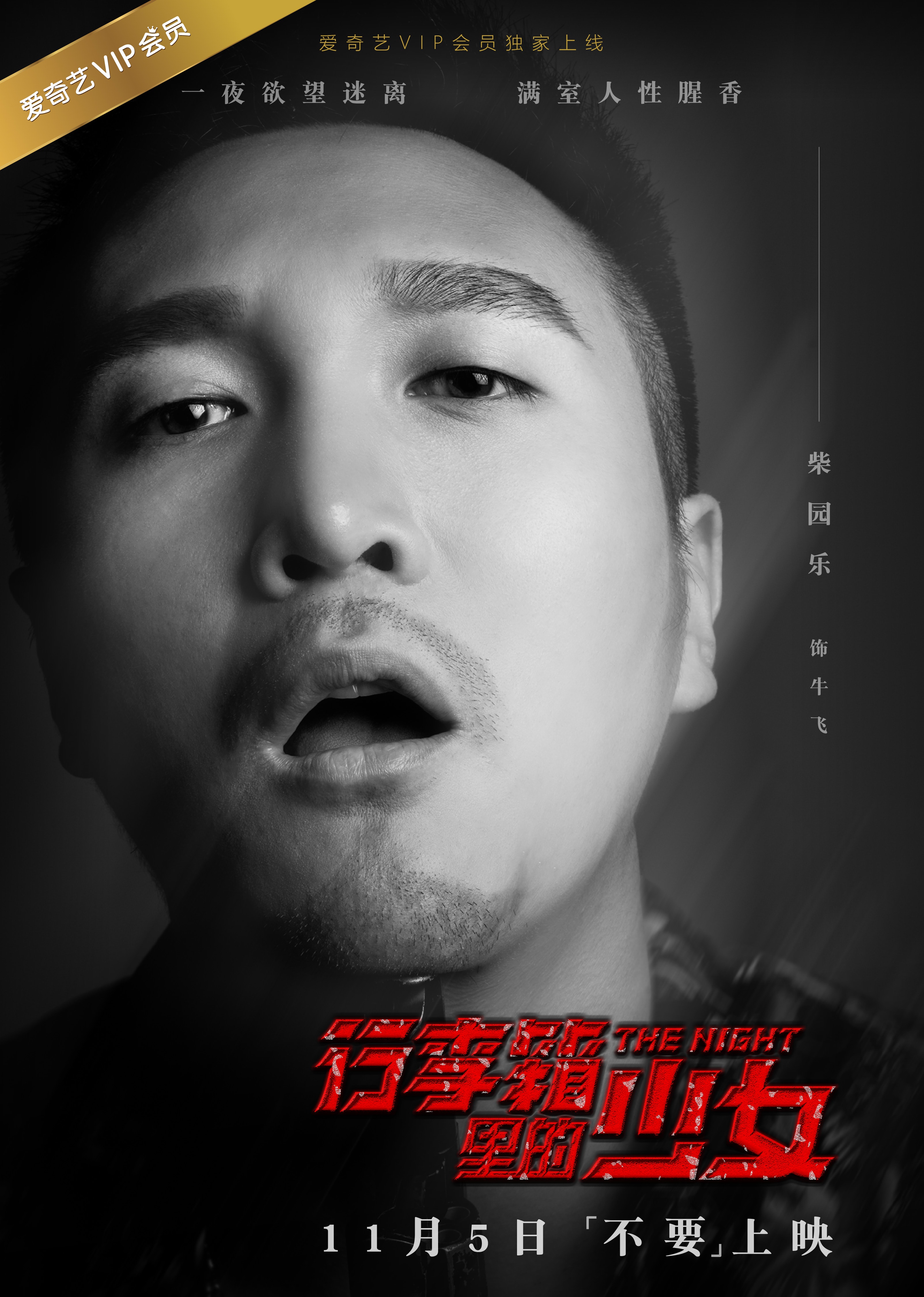 行李箱里的少女 劇照海報