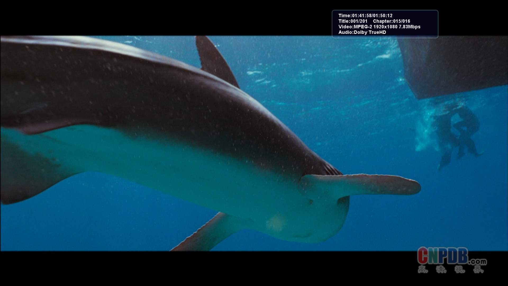 http://m.omega3-ala.com/pics/default/download/5eb75ba85d7e4d6c6d60acab93733ffa.jpg