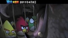 宣傳片之憤怒的小鳥（普通話對白）
