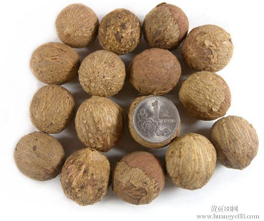 http://m.omega3-ala.com/pics/default/download/627e959823407cdf8921a5bde1d785fd.jpg