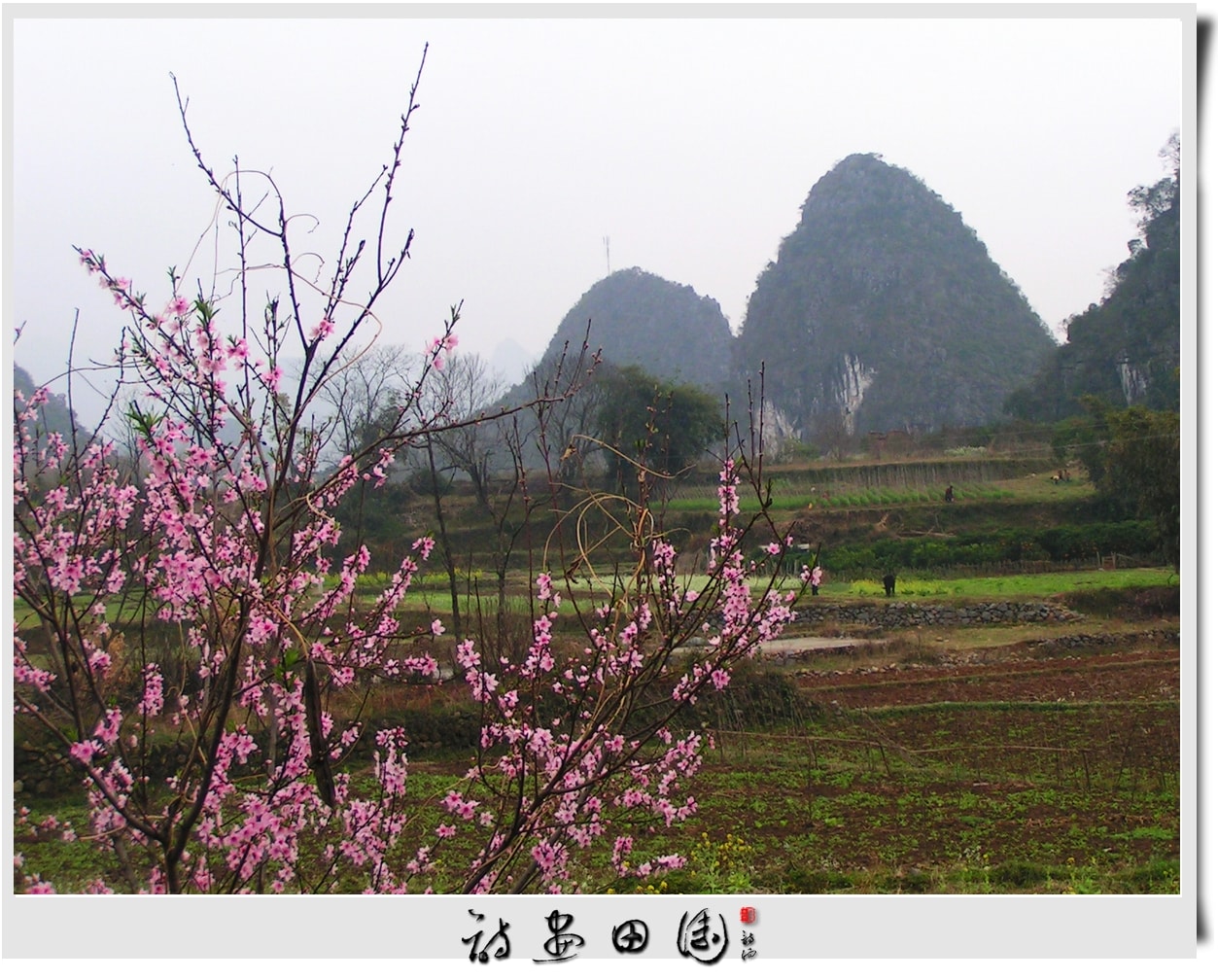 http://m.omega3-ala.com/pics/default/download/651a99aa891b040c0d680e2caebe4c39.jpg