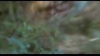 【天下第一刀——傅紅雪個(gè)人MV】——祝鋸叔生日快樂