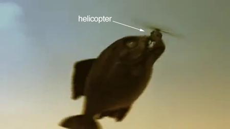 http://m.omega3-ala.com/pics/default/download/67d294a561a490338e0e9d4deecaba09.jpg