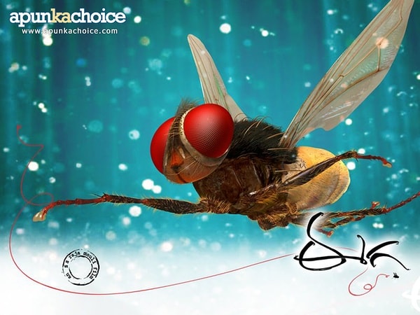 http://m.omega3-ala.com/pics/default/download/684c77bf153f7a489e3d1146de29d73a.jpg