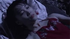 預(yù)告片