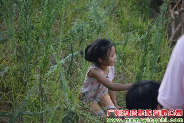 http://m.omega3-ala.com/pics/default/download/686ce3d6f17842052d97788f9f3a76b6.jpg