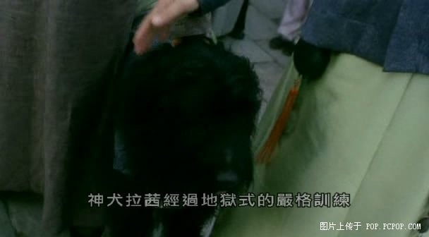 http://m.omega3-ala.com/pics/default/download/68b4d93f89a27ee1761afa1000fba0ba.jpg