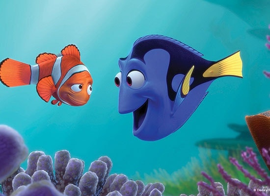 http://m.omega3-ala.com/pics/default/download/68ff628913850fee619aa7dd9d312e12.jpg