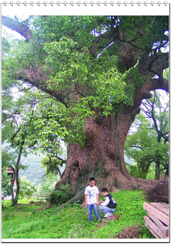 http://m.omega3-ala.com/pics/default/download/6a36a7c0b217607a2b18e3b6e1ec8865.jpg